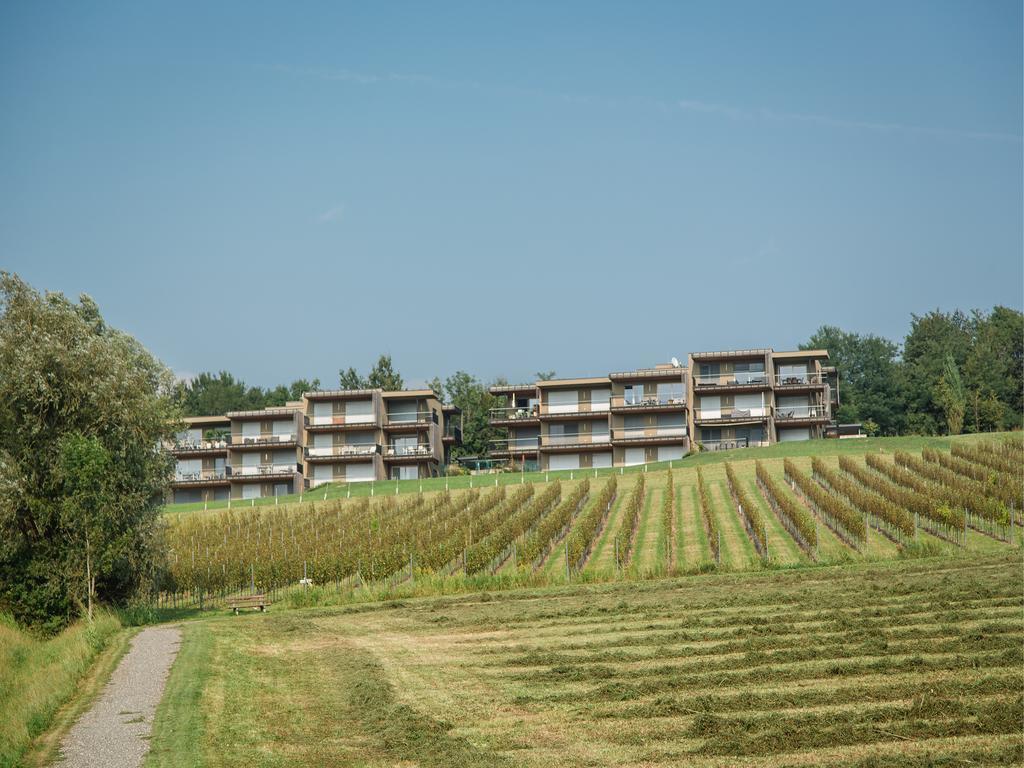 Апартаменты Wohnen Im Wein Эренхаузен Экстерьер фото